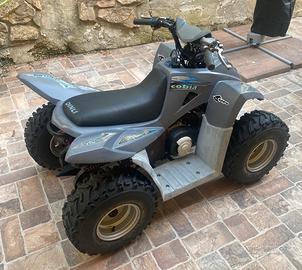 Quad 50 Dinli