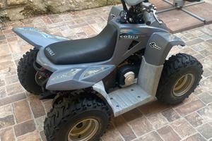 Quad 50 Dinli