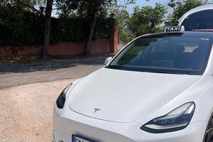 Tesla Model Y Dual Motor Long Range,BATTERIA NUOVA