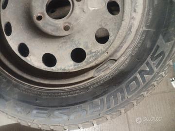 gomme antineve