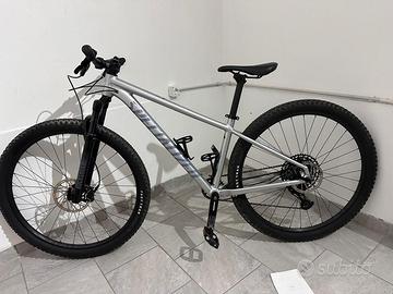 Specialized Rockhopper expert
