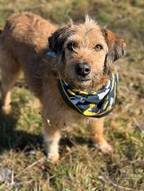 SYRIA, biondina super tenera