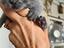 Immagine 1