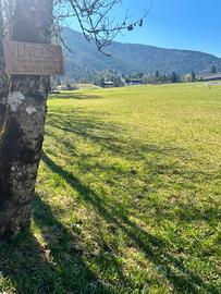Terreno agricolo Ledro