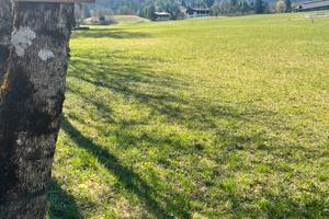 Terreno agricolo Ledro