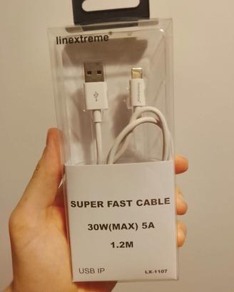 Caricabatterie per iPhone 
