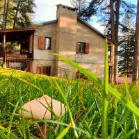 Casa nel bosco a Lorica in Sila Camigliatello