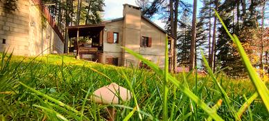 Casa nel bosco a Lorica in Sila Camigliatello