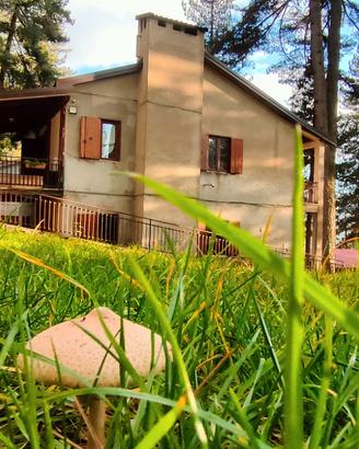 Casa nel bosco a Lorica in Sila Camigliatello