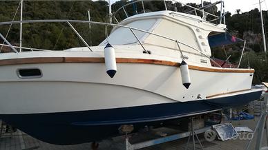 BARCA A MOTORE 10X 3.5 m NATANTE CON FLY