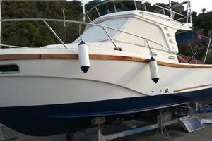 BARCA A MOTORE 10X 3.5 m NATANTE CON FLY