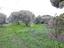 Immagine 26