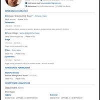 Ristorazione,sala,bar,babysitter