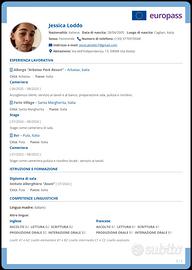 Ristorazione,sala,bar,babysitter