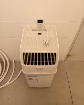 pinguino compaq