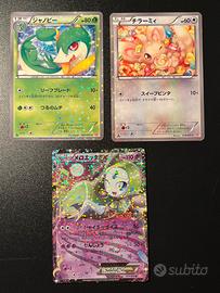 pokemon carte