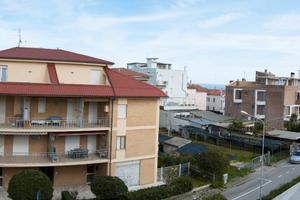 Il falco sul mare
