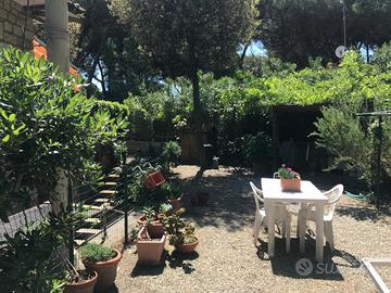 Last minute per le settimane dal 8 al 31 agosto