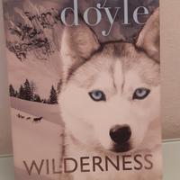 Roddy Doyle   Wilderness