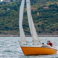 Barca a Vela - Alpa 19