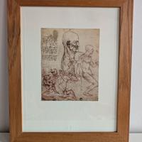 Quadro - stampa Fratelli Alinari disegno Leonardo