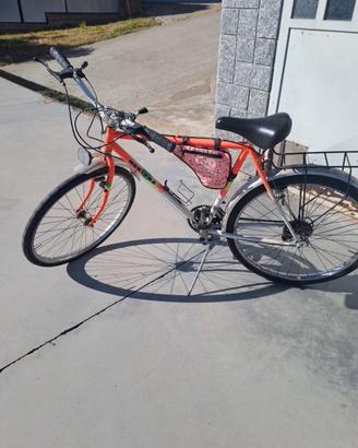 Mountain Bike Vintage MONTANA – Anni '90