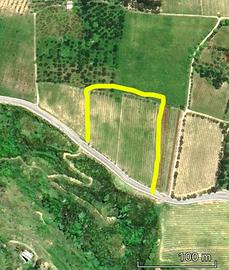 Terreno Aglianico DOP