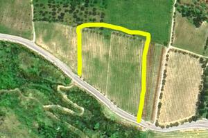 Terreno Aglianico DOP