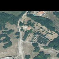 Terreno binzana ploaghe (ss)