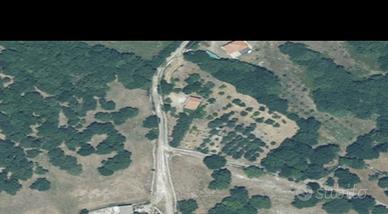 Terreno binzana ploaghe (ss)