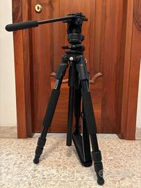 Treppiedi Giotto MT9160 + Manfrotto Head 128RC