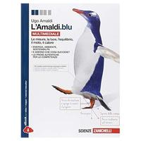 Libro di Fisica L'Amaldi Blu