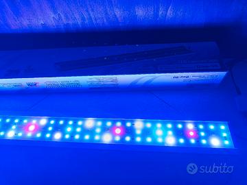 lampada plafoniera led per acquario marino 