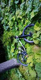 Cube 215 race 2024 taglia XL ( da DOWNHILL)