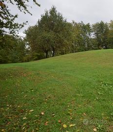 Rif.ZI80D_16| rustico giavera del montello