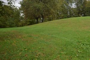 Rif.ZI80D_16| rustico giavera del montello