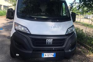 Fiat Ducato 2023