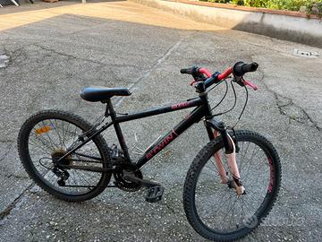 Bicicletta