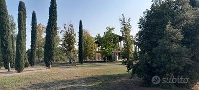 Azienda agricola-vivaio