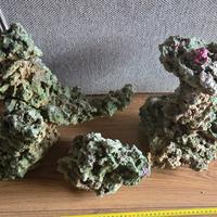 rocce acquario marino caribSea life