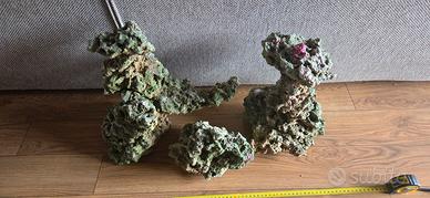 rocce acquario marino caribSea life