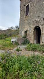 Terreno agricolo ed edificabile