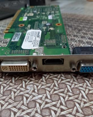 Scheda video PC NVIDIA GF-8400 DDR2 64bit 512MB