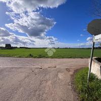 TER. AGRICOLO A MESAGNE