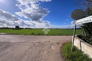 TER. AGRICOLO A MESAGNE