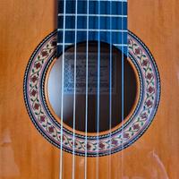 Chitarra flamenco  Ricardo Sanchis Carpio