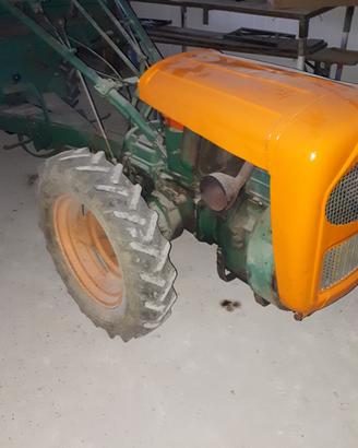 goldoni  export  18  cv
