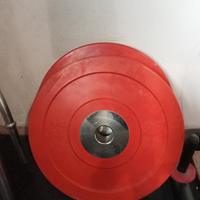 Coppia dischi 25kg