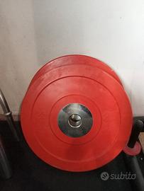 Coppia dischi 25kg