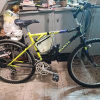 BICICLETTA Mountain Bike BIANCHI Modello META